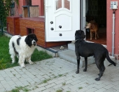 Pension_26