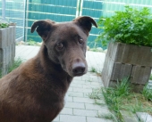 Pension_29
