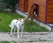 Pension_2