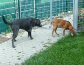 Pension_44