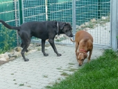 Pension_45