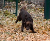 Pension_11
