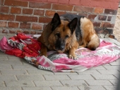 Pension_23
