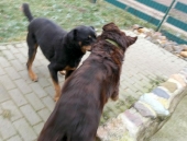 Pension_2
