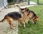 Pension_2