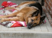Pension_4
