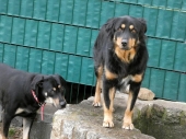 Pension_10