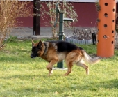 Pension_22