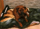 Pension_28