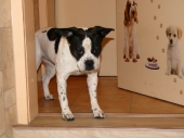 Pension_28