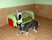 Pension_41