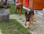 Pension_11