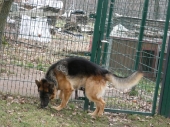 Pension_12