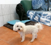Pension_15