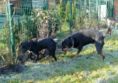 Pension_21