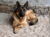 Pension_21