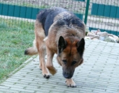 Pension_22