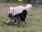 Pension_22