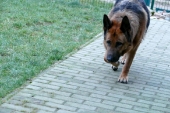 Pension_23