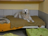 Pension_23