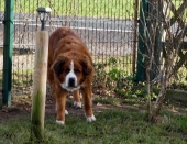 Pension_23