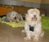 Pension_25