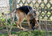 Pension_29