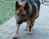 Pension_31