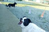 Pension_31