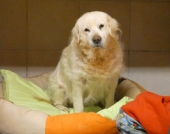 Pension_33