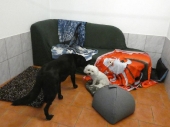 Pension_35