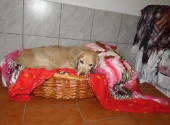 Pension_3