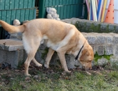 Pension_4