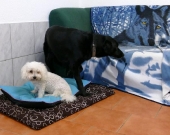 Pension_7