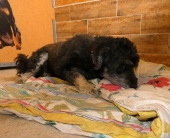 Pension_7
