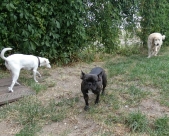 Pension_12