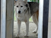 Pension_25