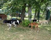 Pension_29
