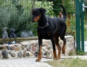 Pension_73