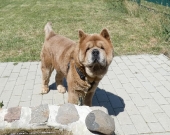 Pension_1