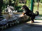 Pension_22