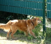 Pension_24