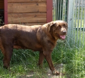 Pension_26