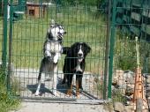 Pension_29