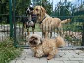 Pension_29