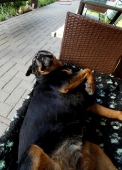 Pension_2
