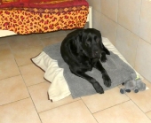 Pension_10