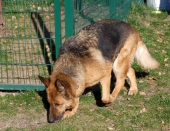 Pension_11
