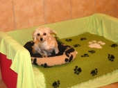 Pension_14