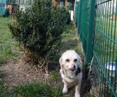 Pension_20